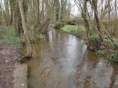 Rivière musicale